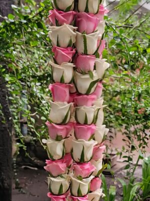 Traditional fresh rose garland for religious ceremonies and pooja decoration