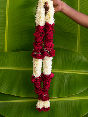 Rose and Sevanti flowers mala