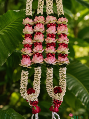 Wedding Mala & Varmala in Rajkot