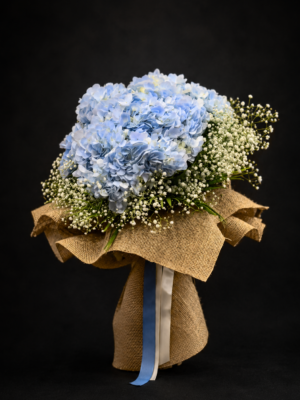 Elegant Blue Hydrangea with Gypsophila Flower bouquet at Jagdish Flowers