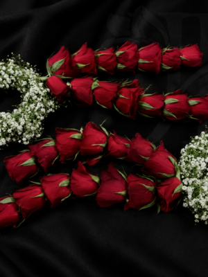 Gypsophila Flower with Red Rose Calera at Jagdish Flowers