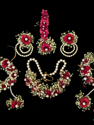 Red Bottam with Gypsophila ornament at Jagdish Flowers