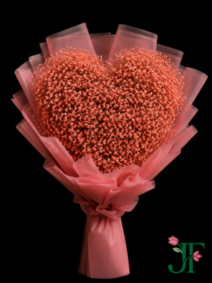 Light Pink Gypsophila Heart Bouquet with Premium Light Pink Wrapping Rajkot